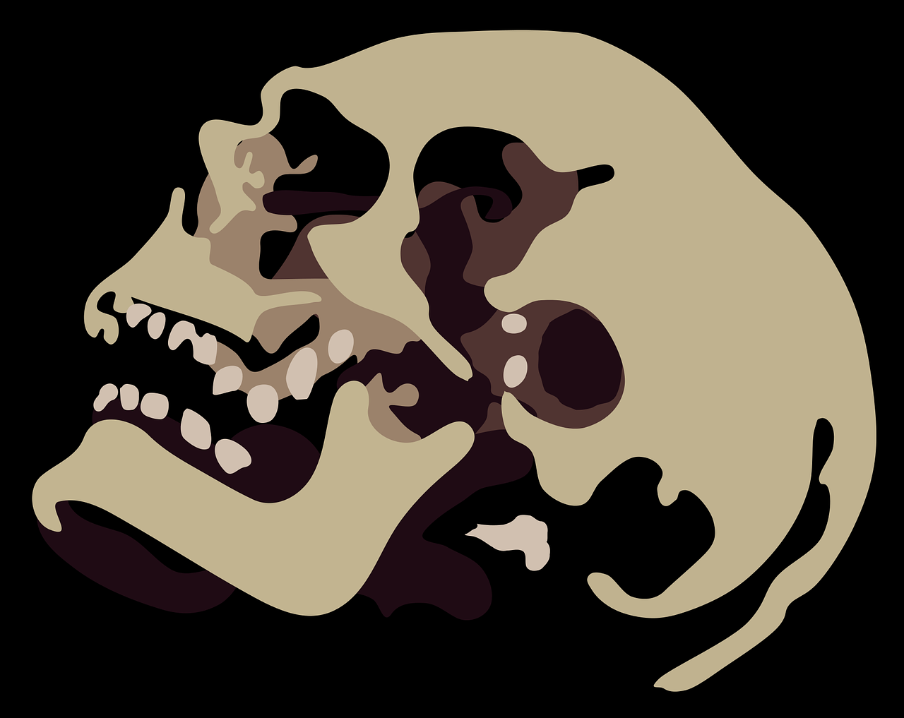 background detail low skull free photo