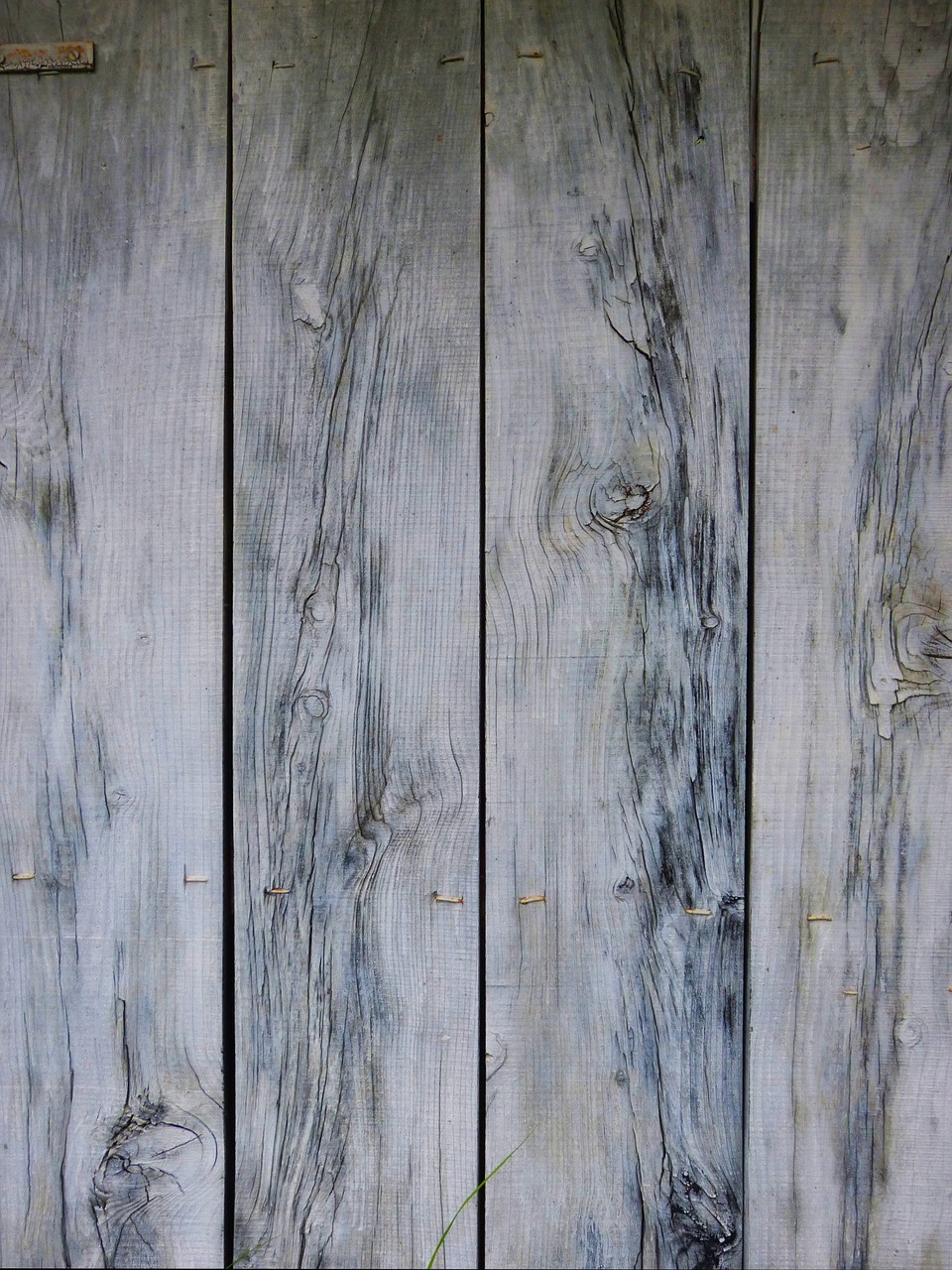 background wood texture door free photo