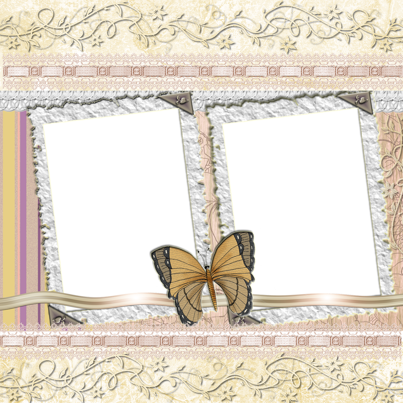 background butterfly frame free photo