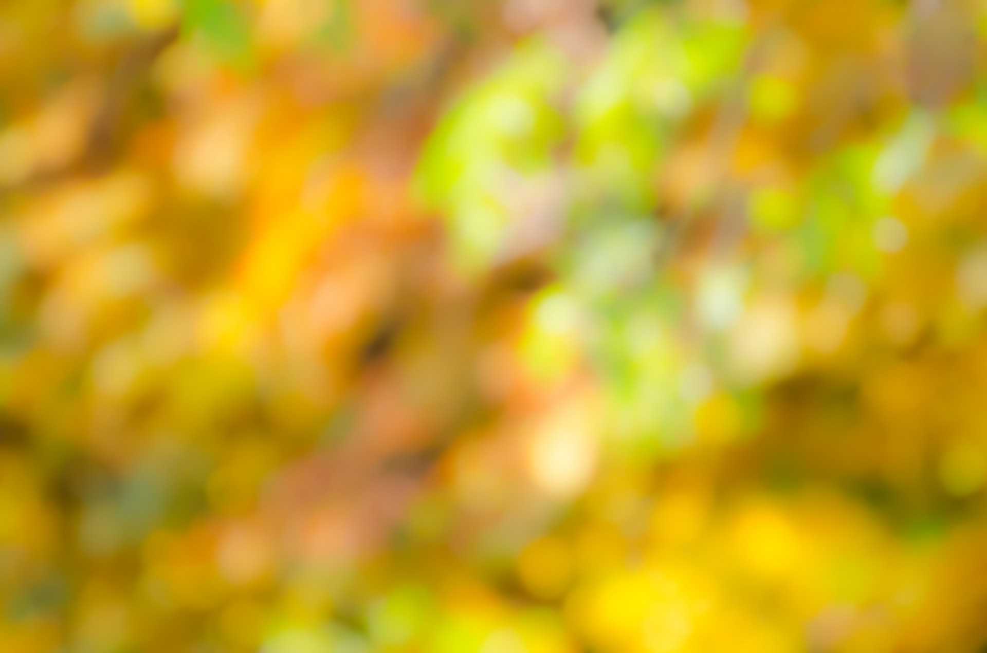 color bokeh background free photo