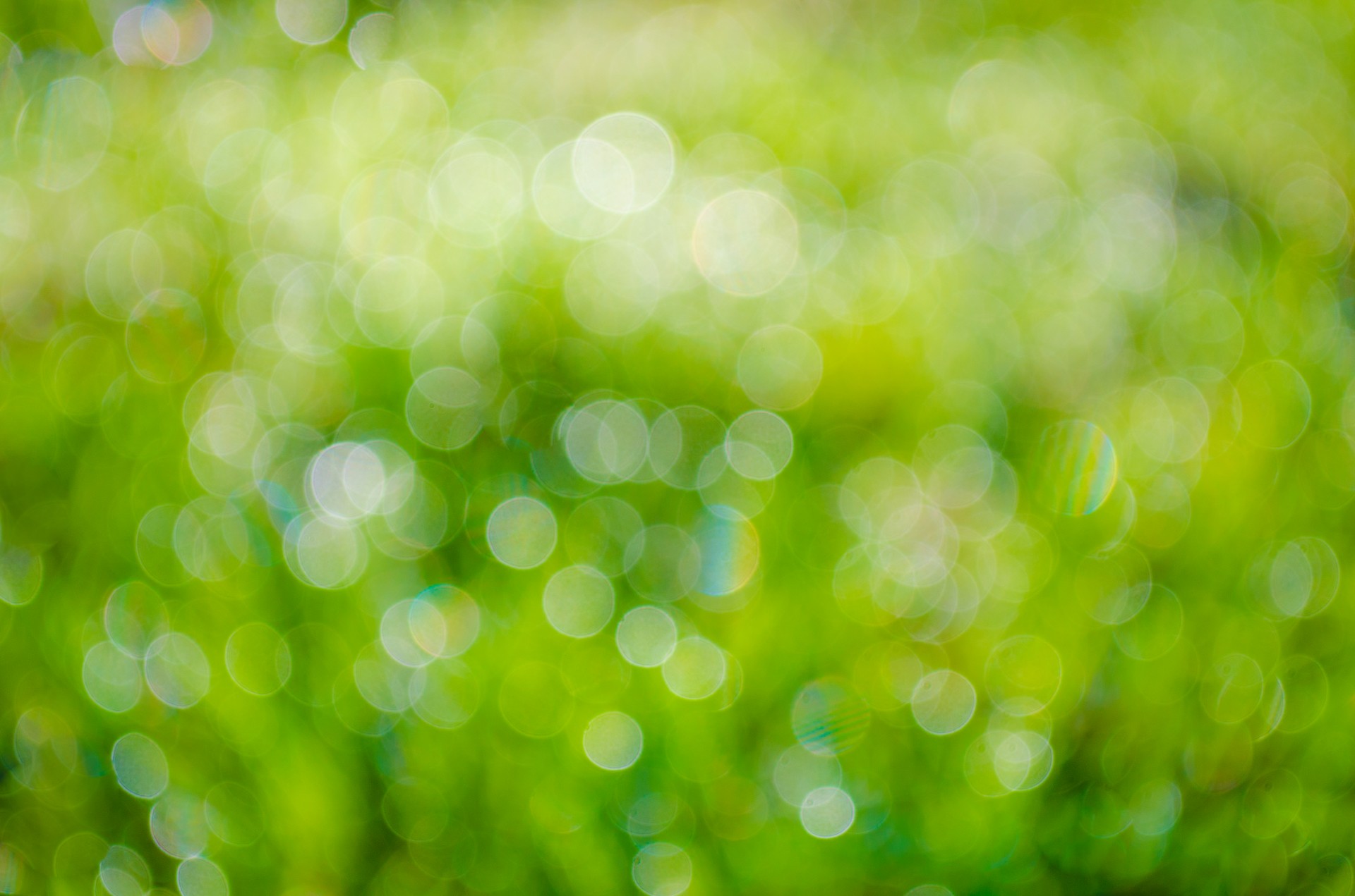 green background abstract free photo