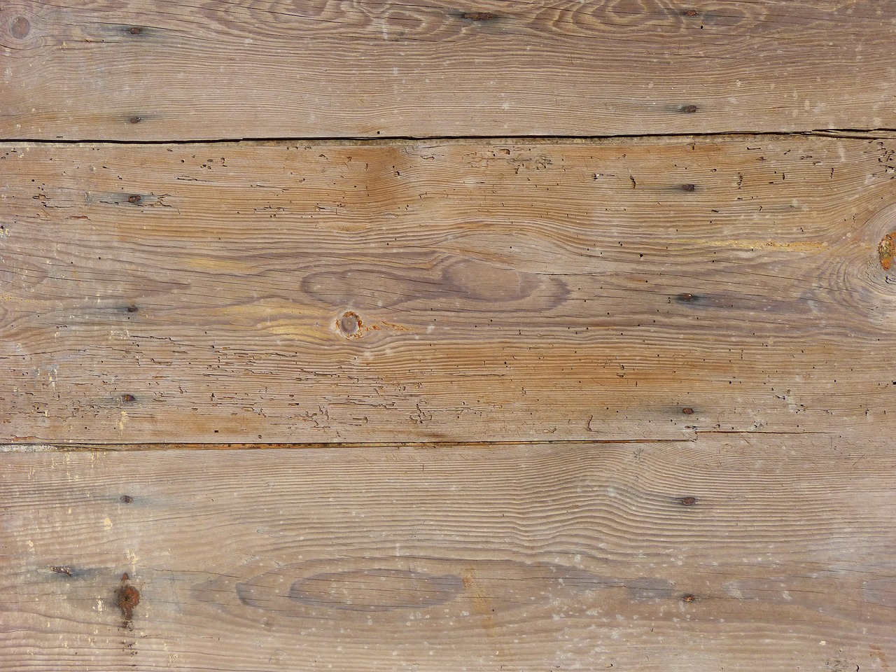 background wood texture free photo