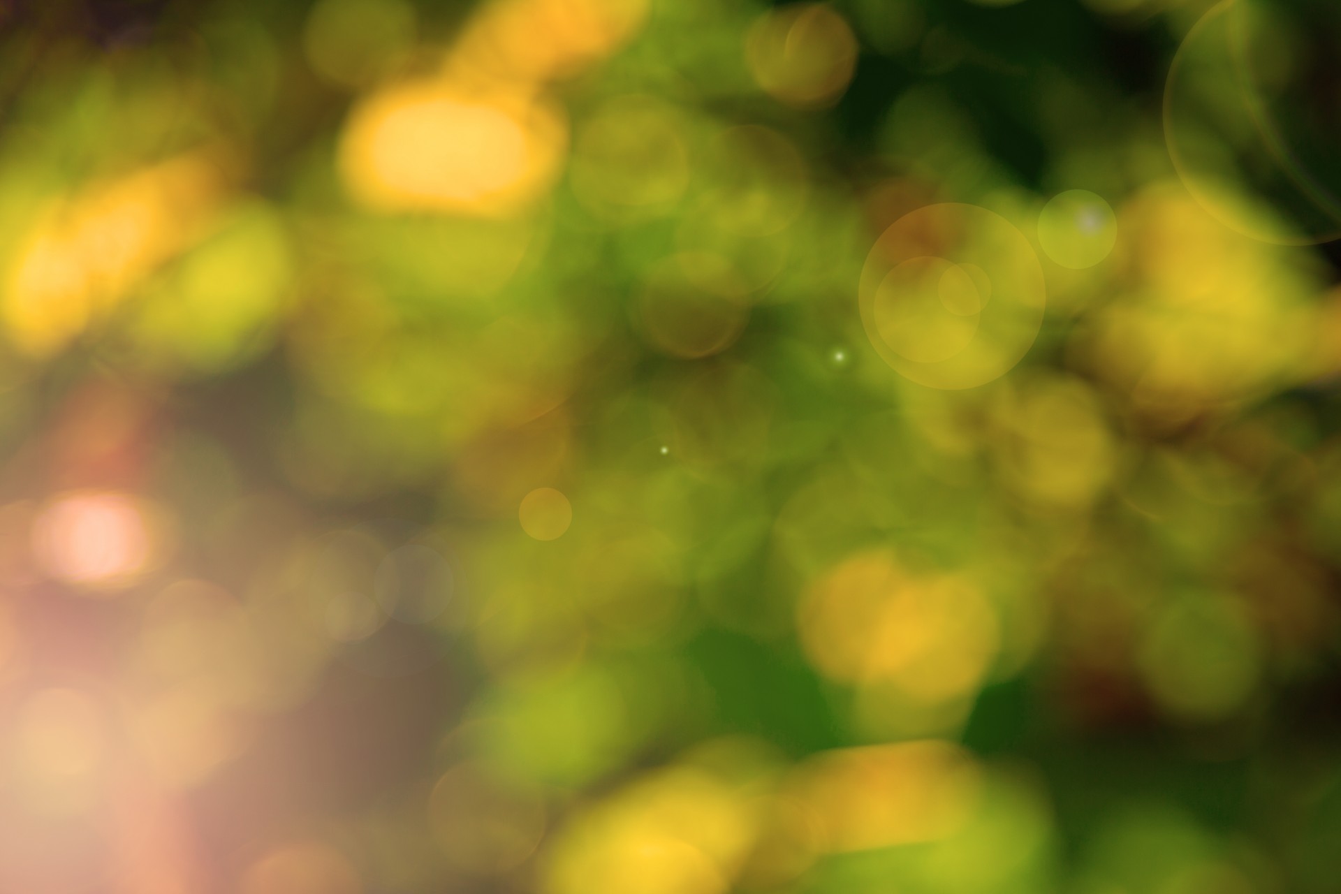 Download free photo of Background,natural,nature,green,bokeh - from  