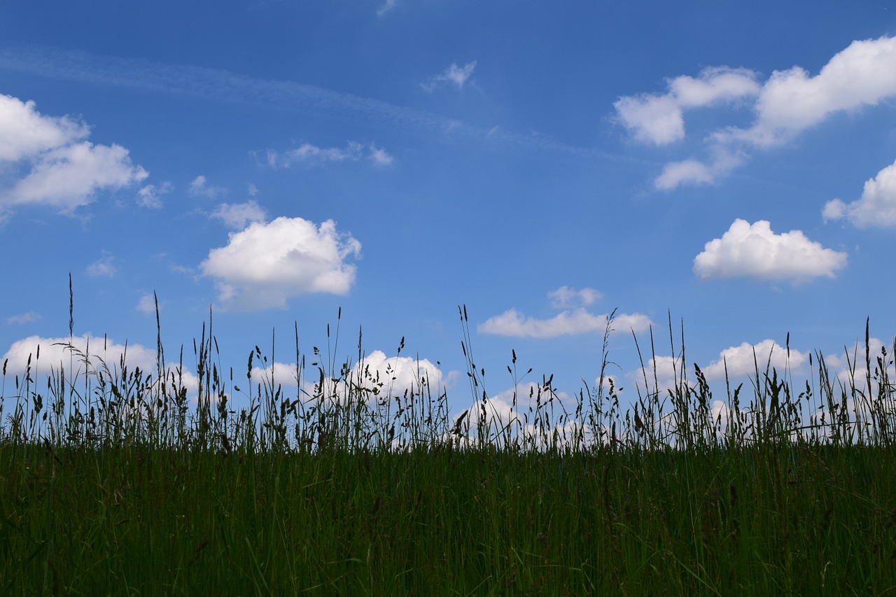 background horizon sky free photo