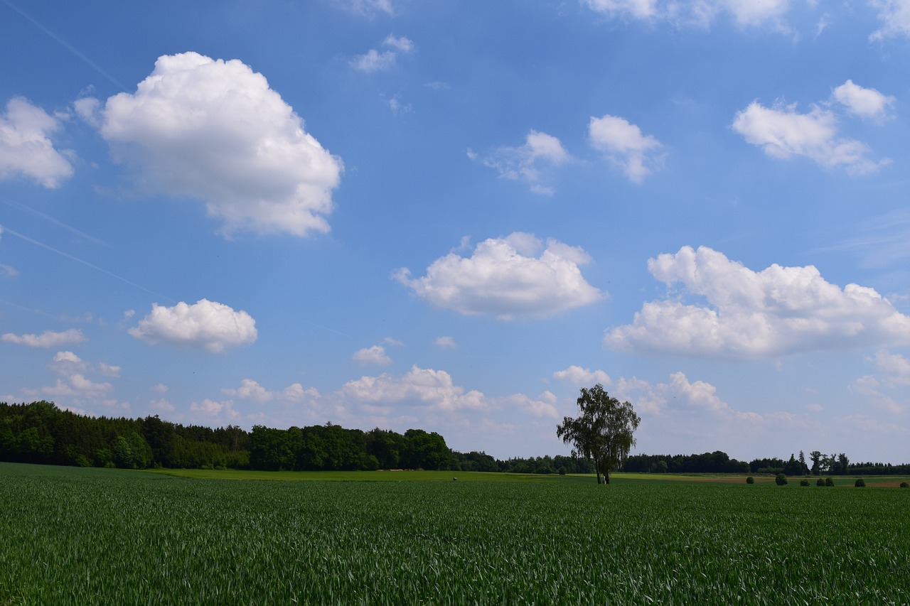 background sky clouds free photo