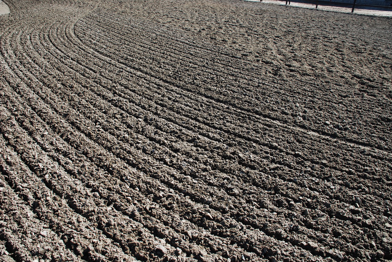 background texture sand free photo