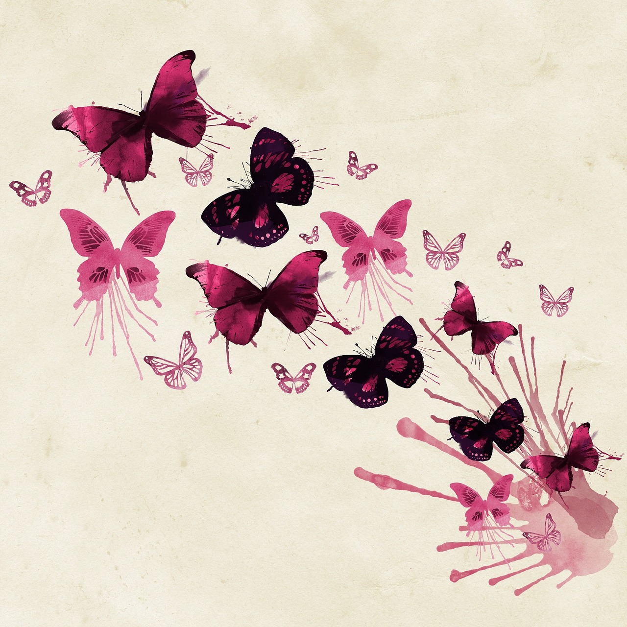 background butterflies pink free photo