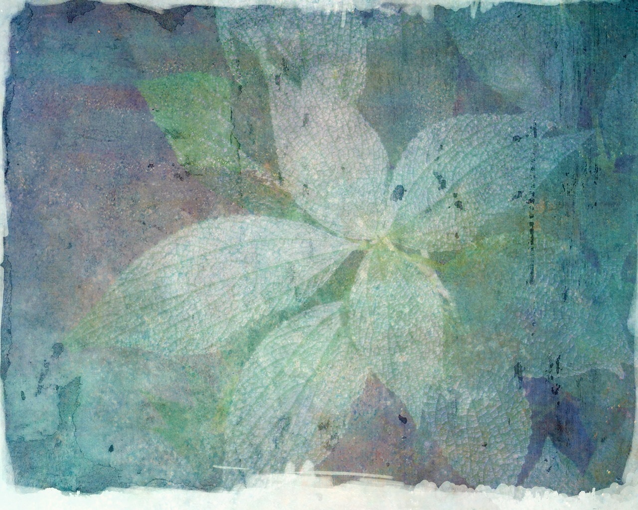 background texture leaves free photo
