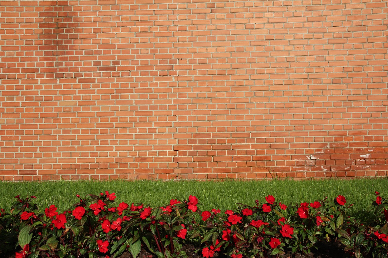 background wall meadow free photo