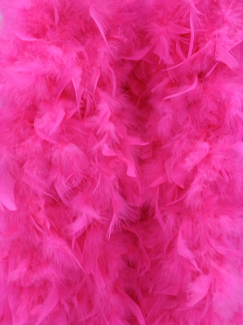 background pink fluffy free photo