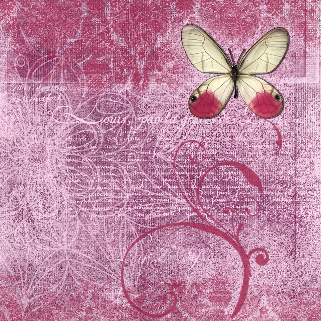 background rose butterfly free photo