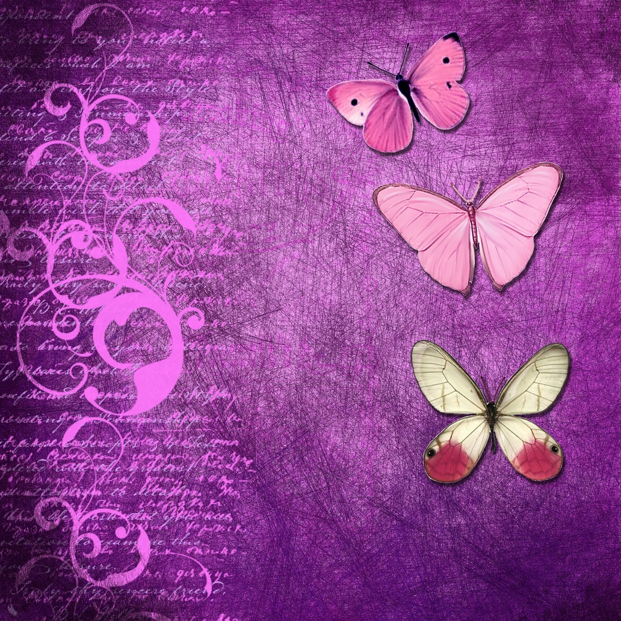 background butterfly purple free photo