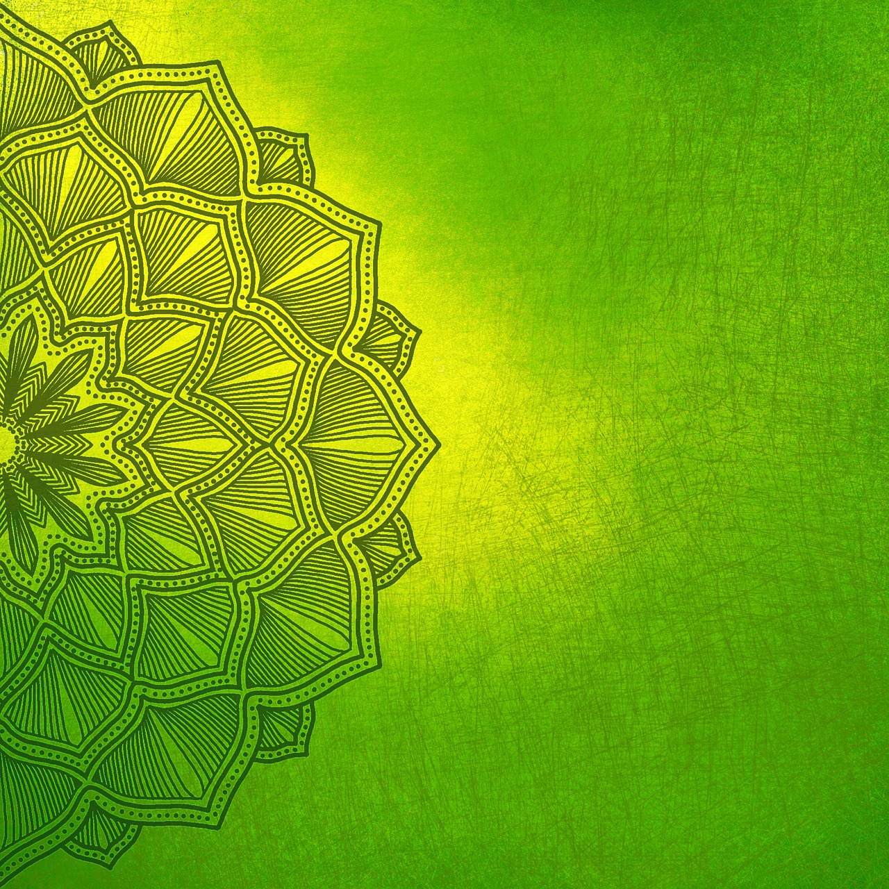 background flower green free photo