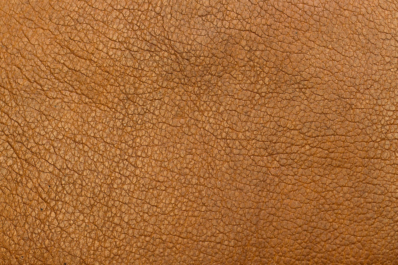 background brown closeup free photo