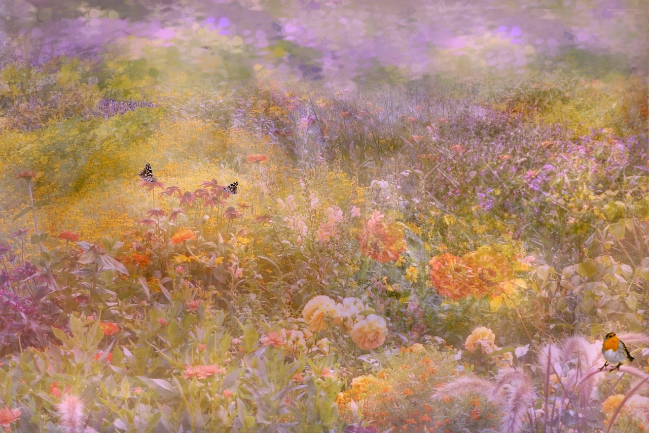 background texture flower meadow free photo