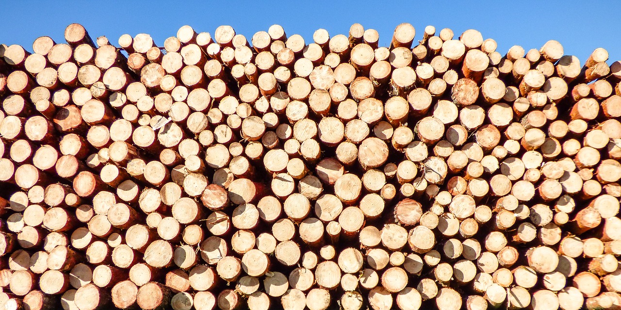 background woodpile wood free photo