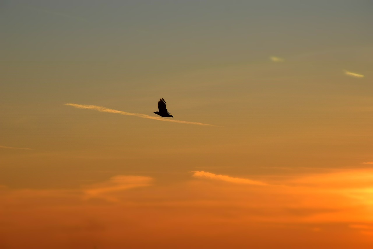 background clouds heaven free photo