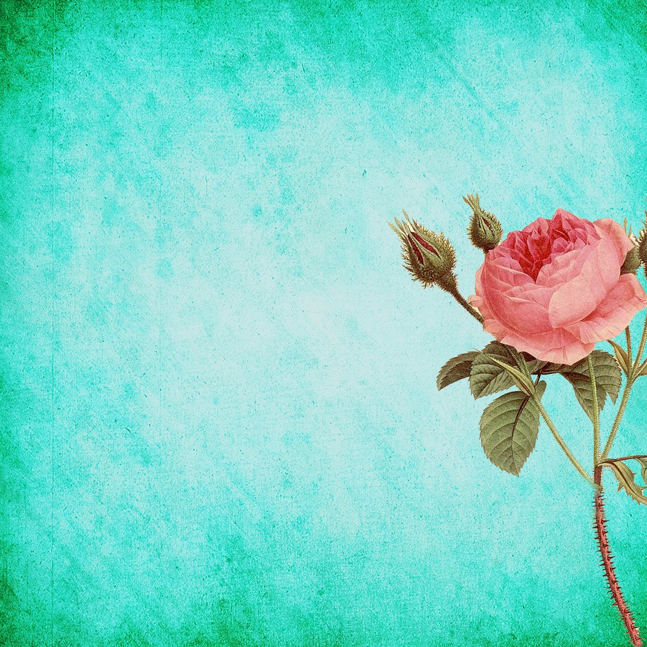 Розово бирюзовый фон