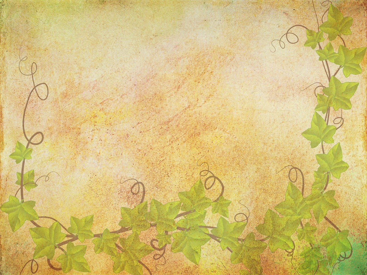 background texture ivy ivy free photo