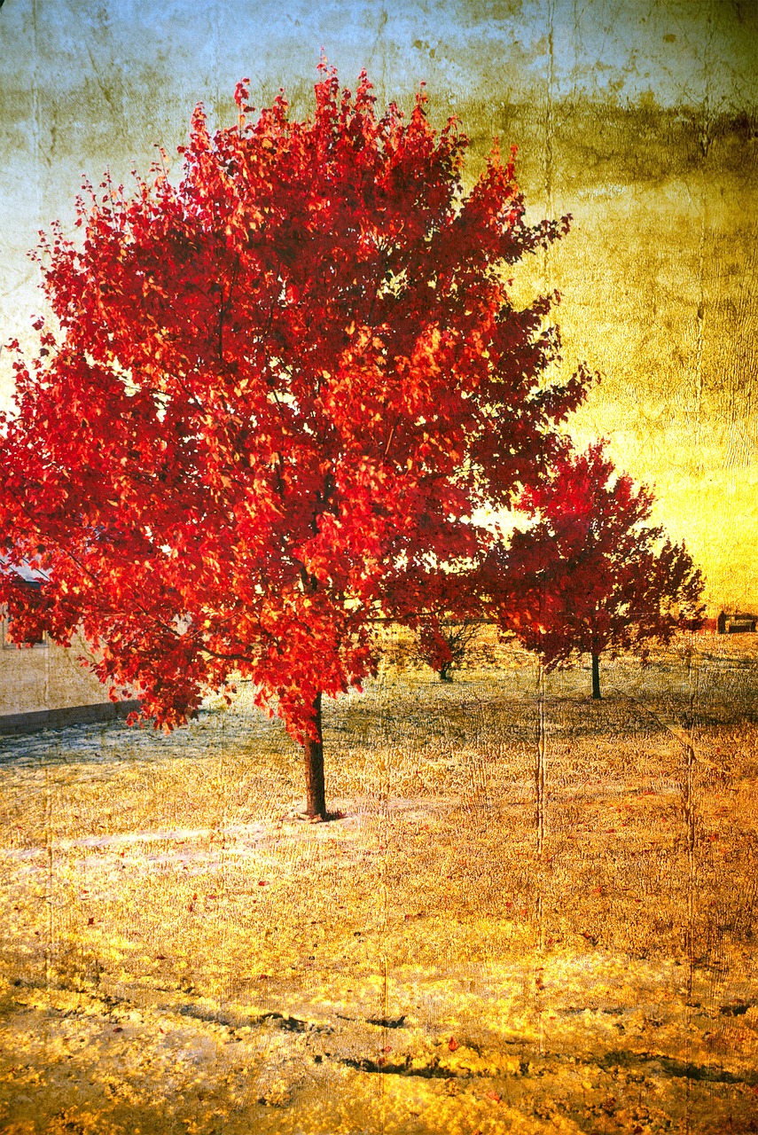 background tree vintage free photo