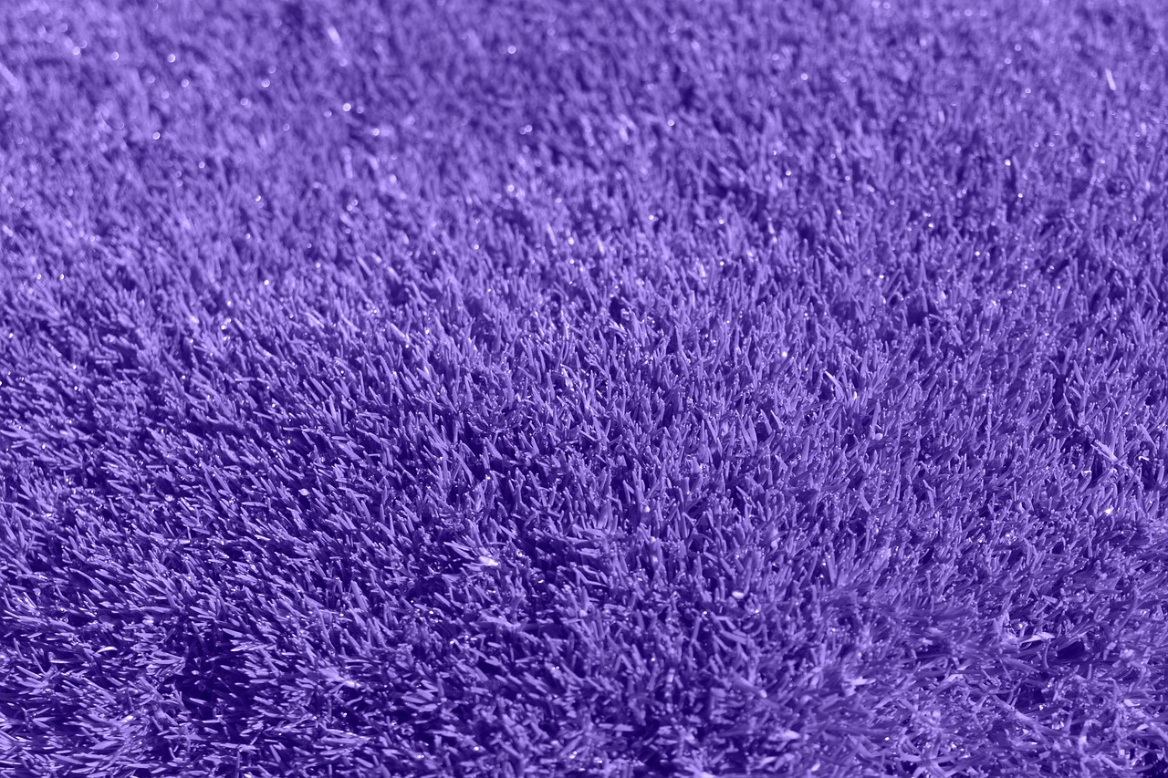background purple grass free photo