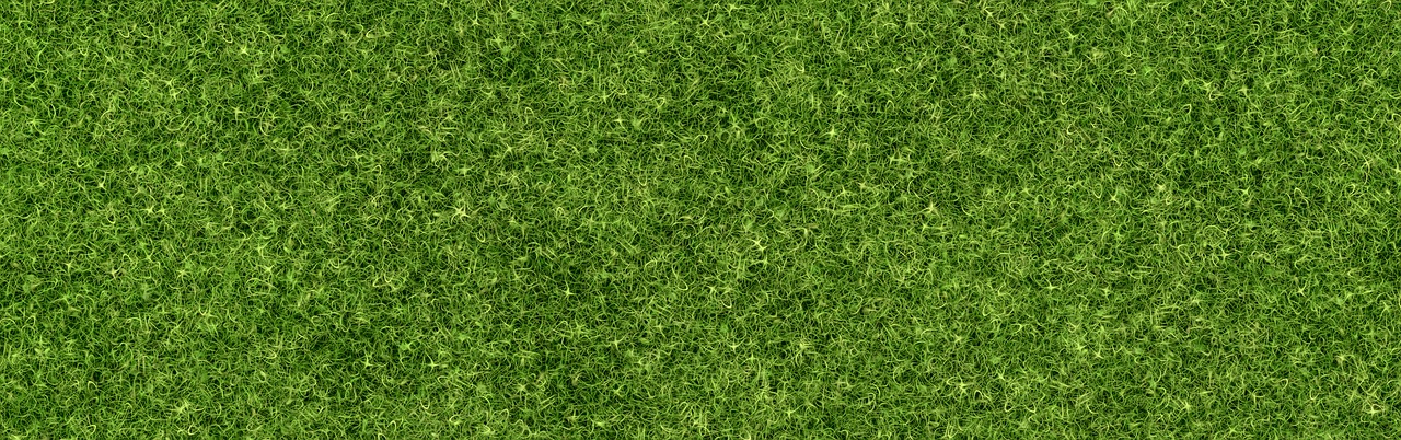 background grass rush free photo