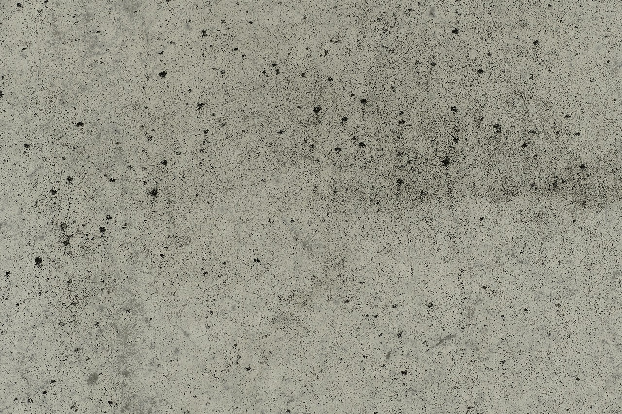 background concrete close free photo