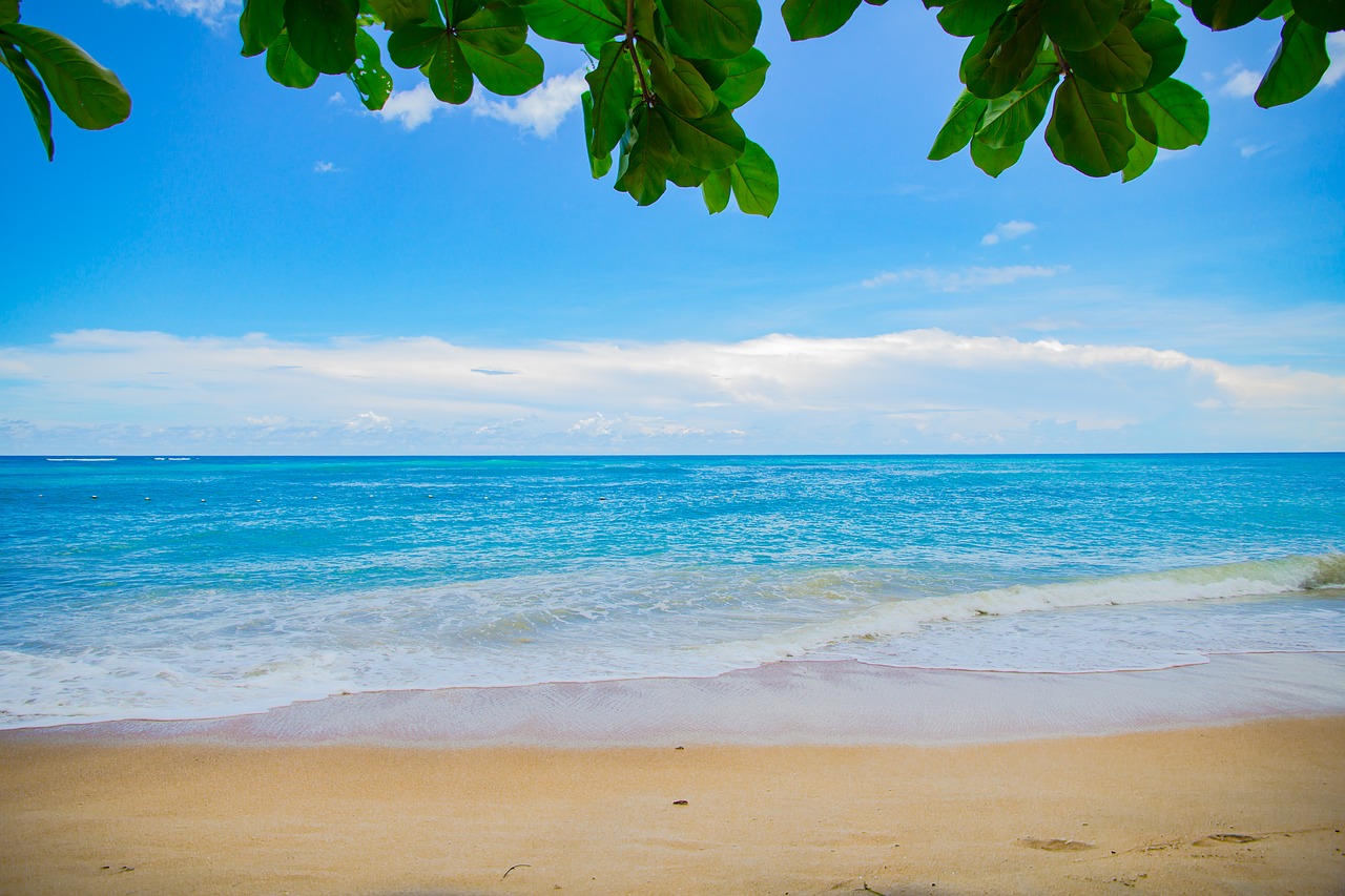 background bay beach free photo