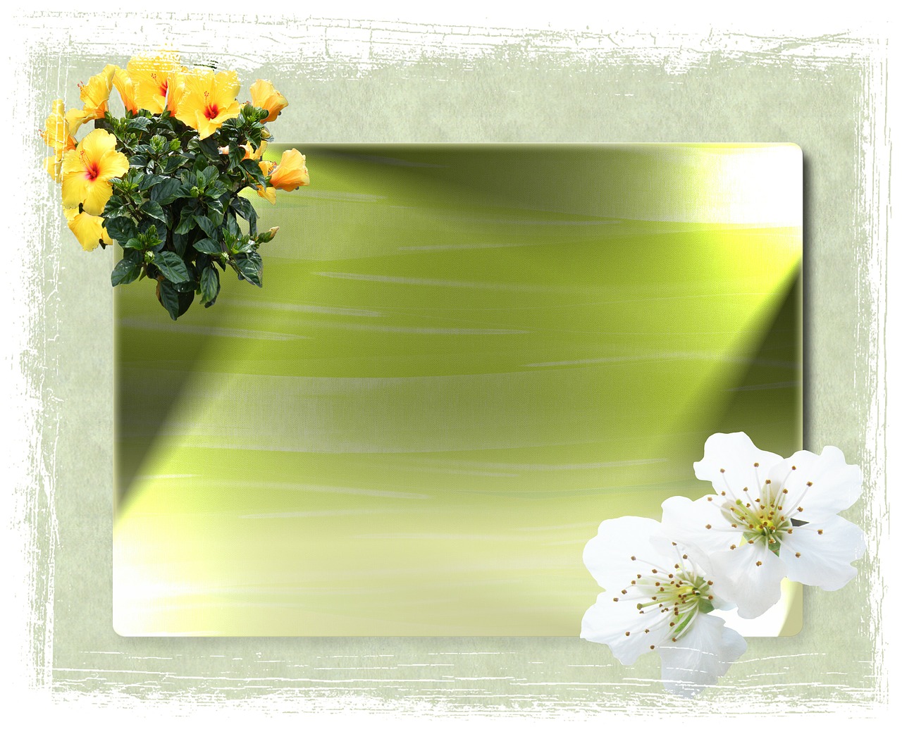 background decoration illuminated free photo