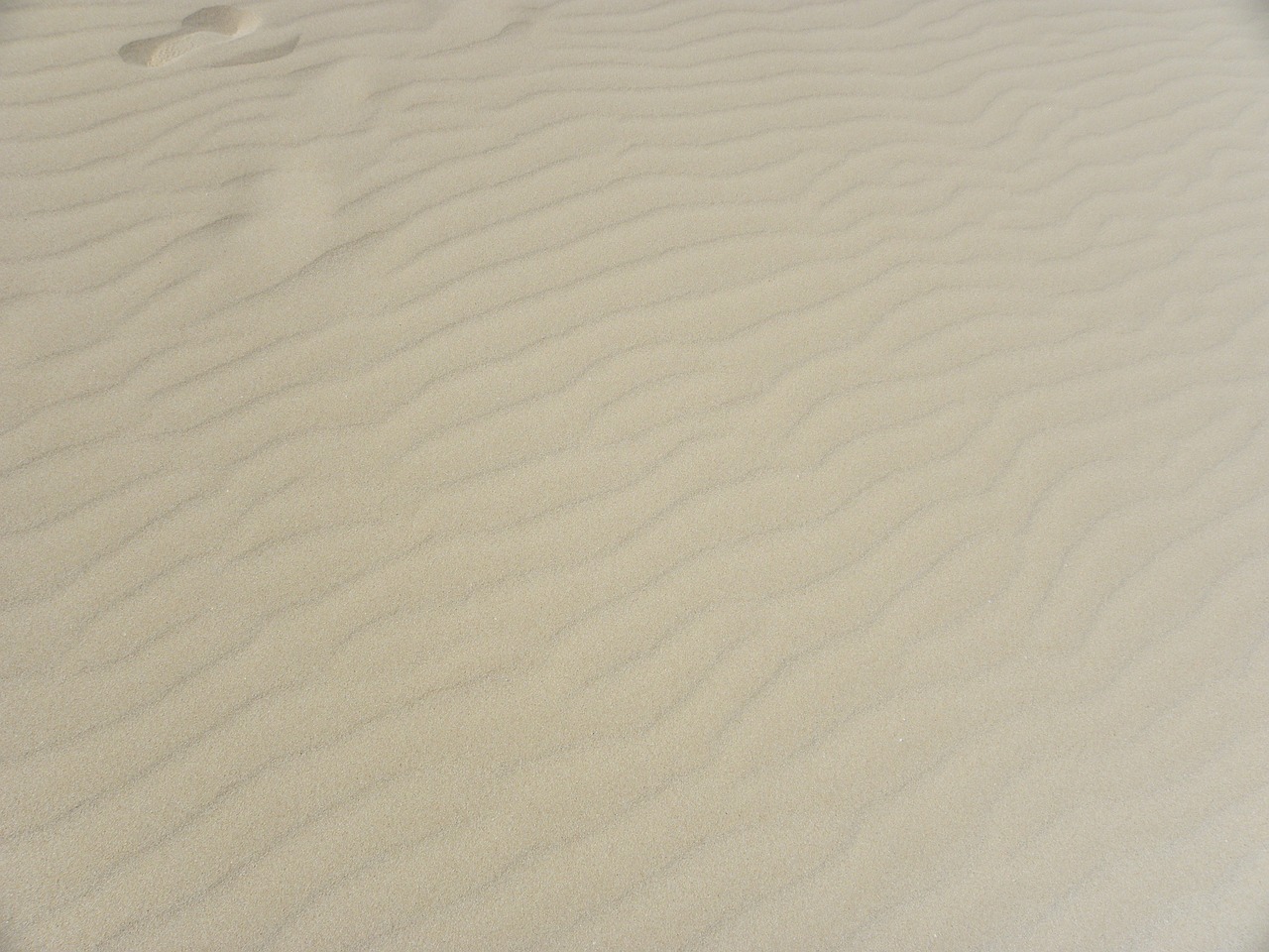 background texture sand free photo