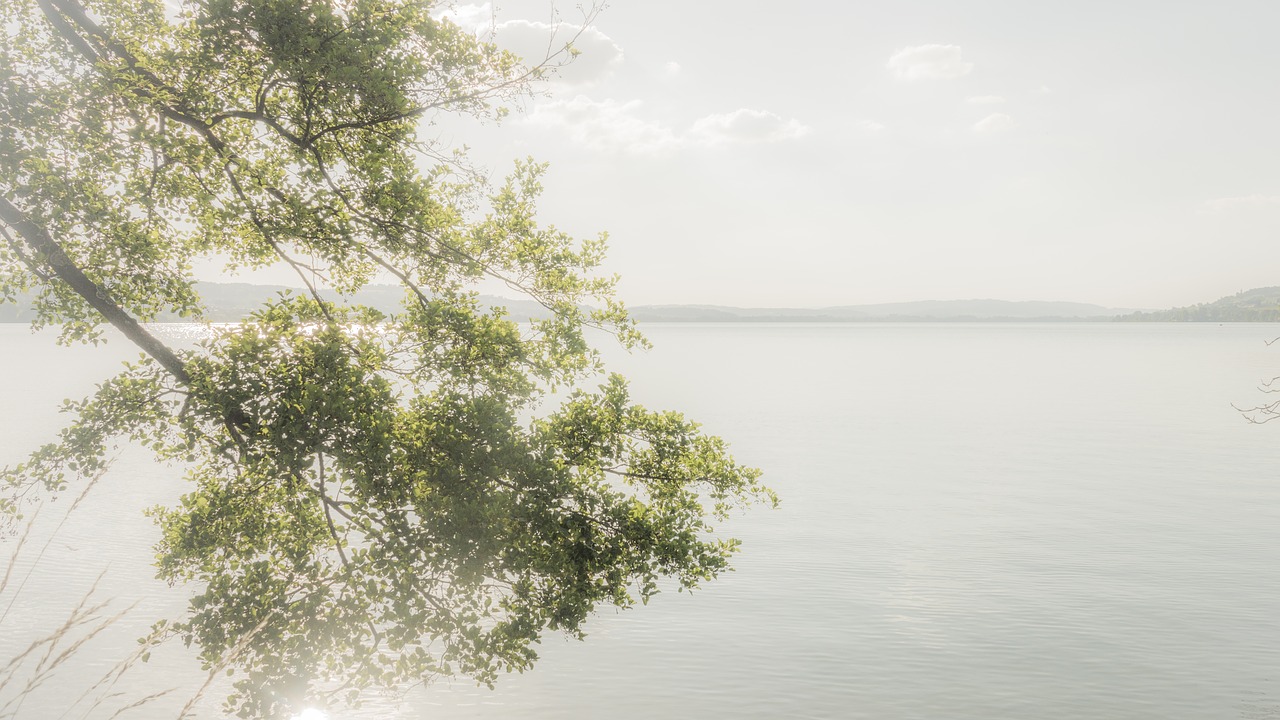 background lake water free photo