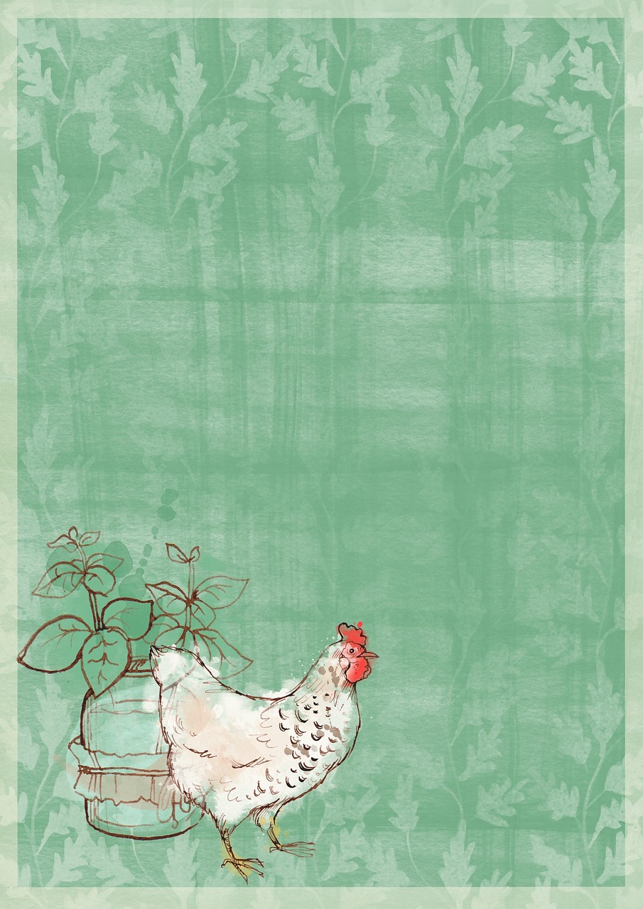 background watercolor chicken free photo