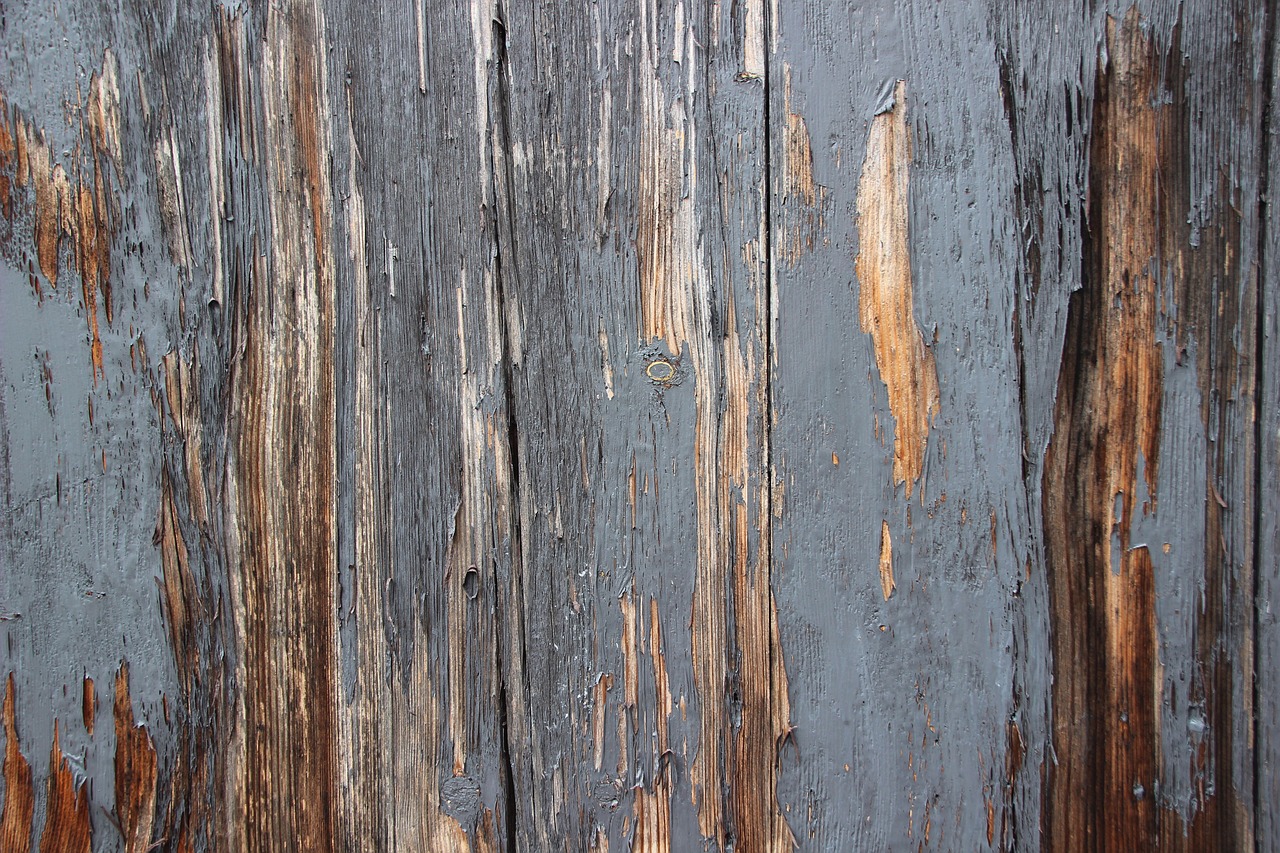 background texture wood free photo