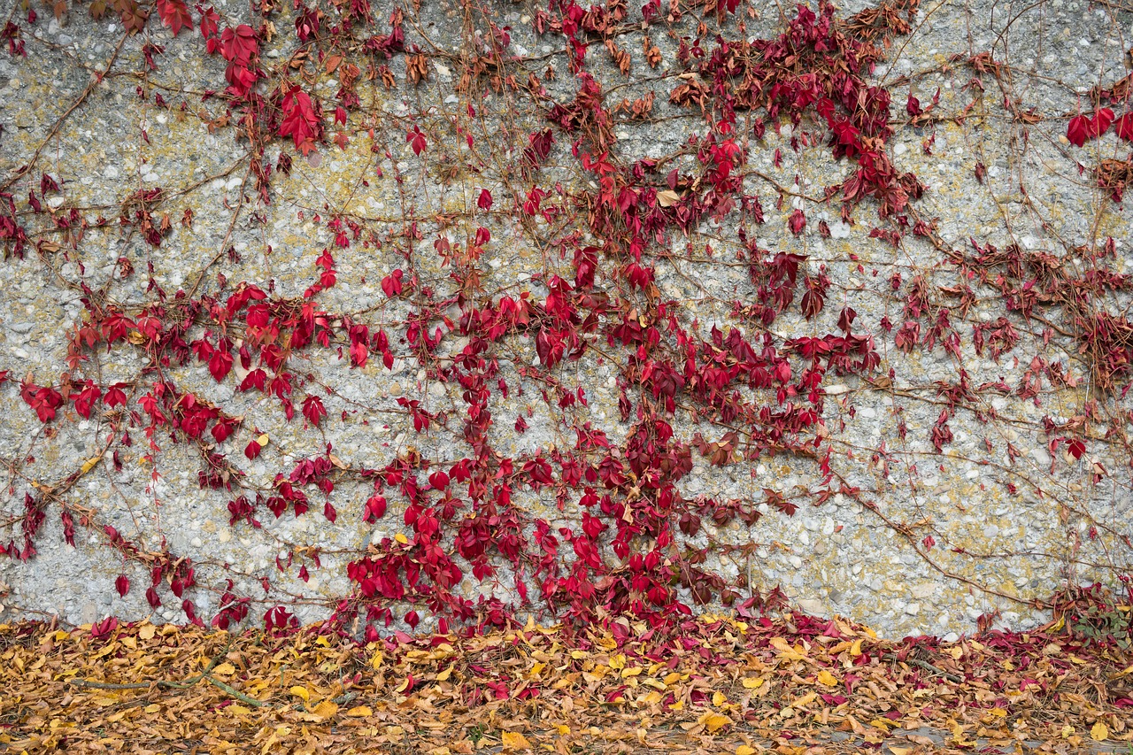 background stone texture free photo