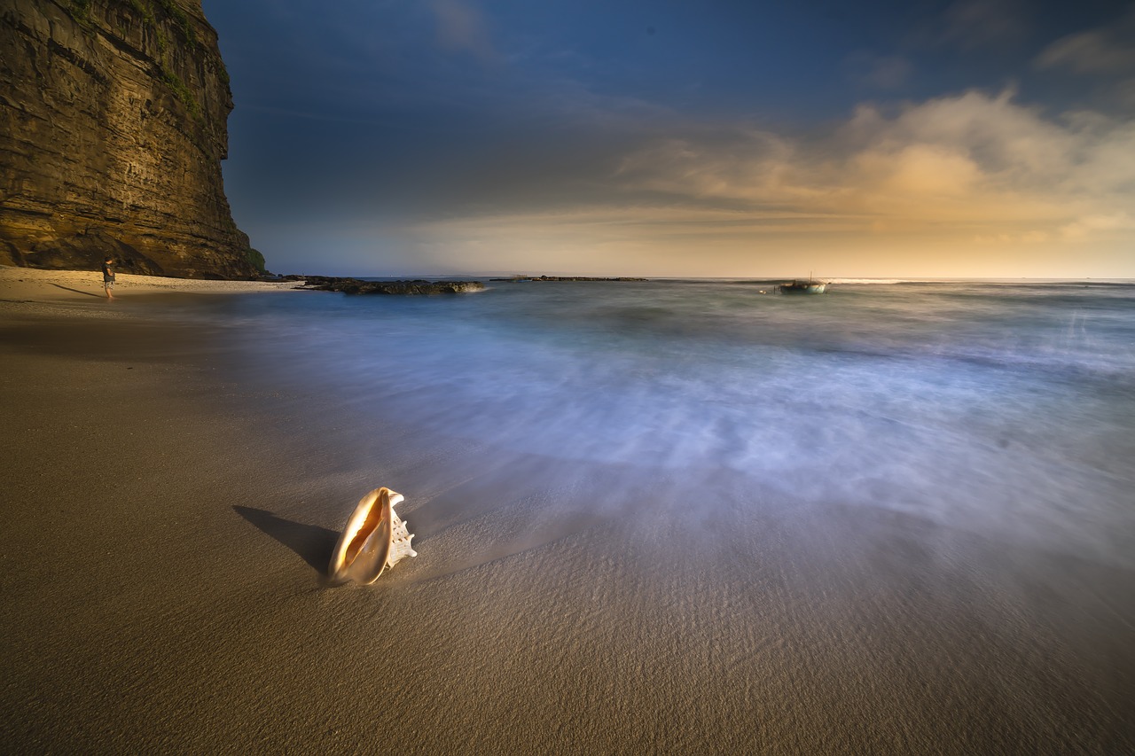 background the beach nice free photo