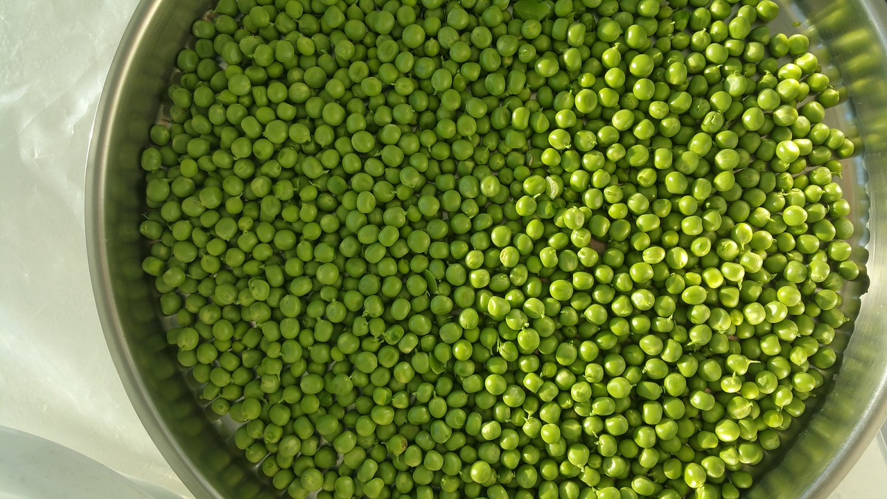 background legume food free photo