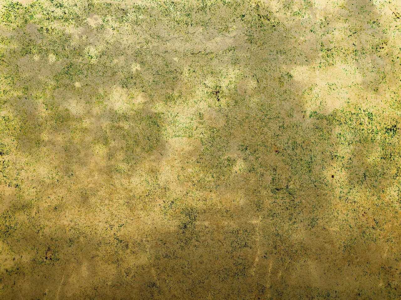 background texture pattern free photo