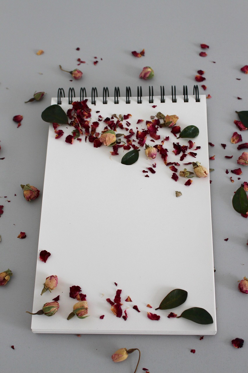 background notebook note free photo