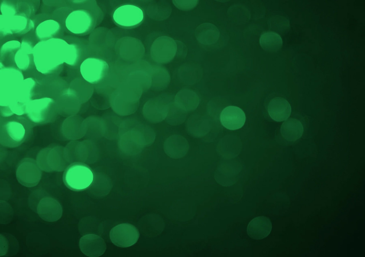 background green spots free photo