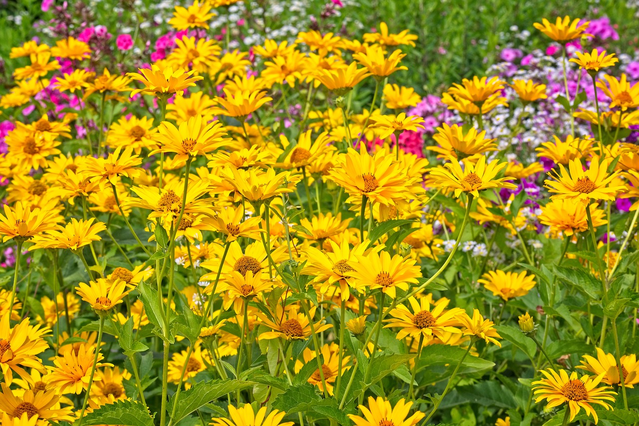 background  texture  flowers free photo