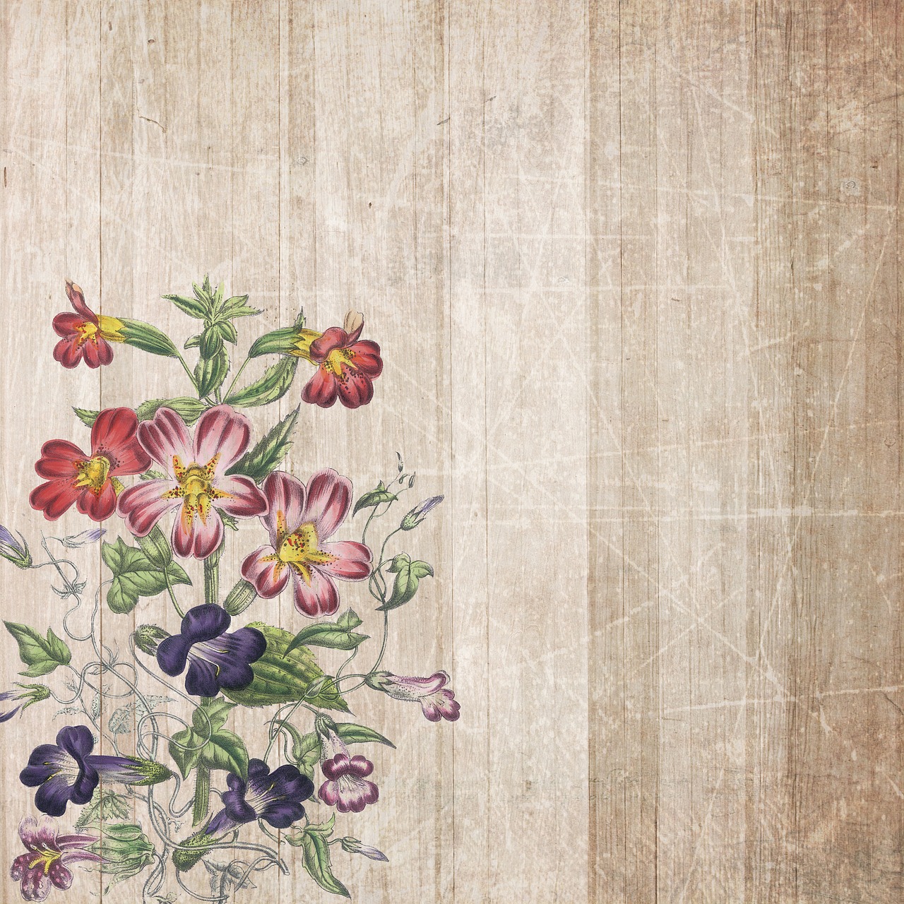 background  boards  flowers free photo