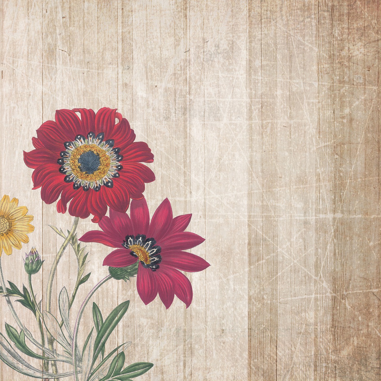 background  boards  flowers free photo