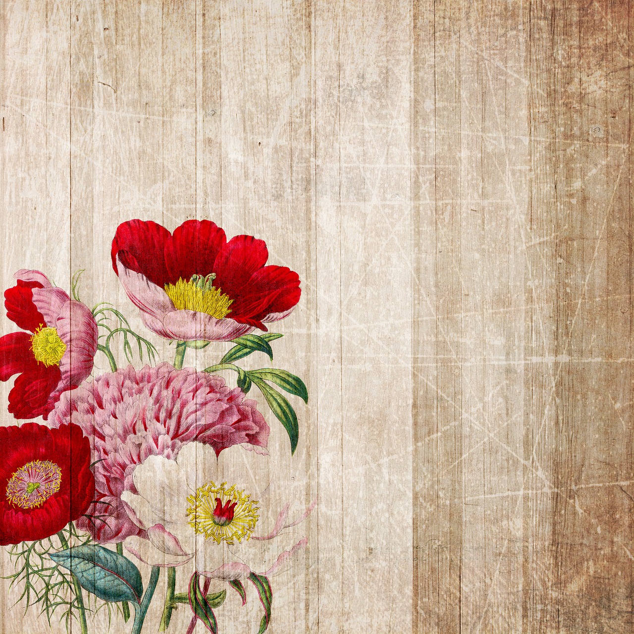 background  boards  flowers free photo