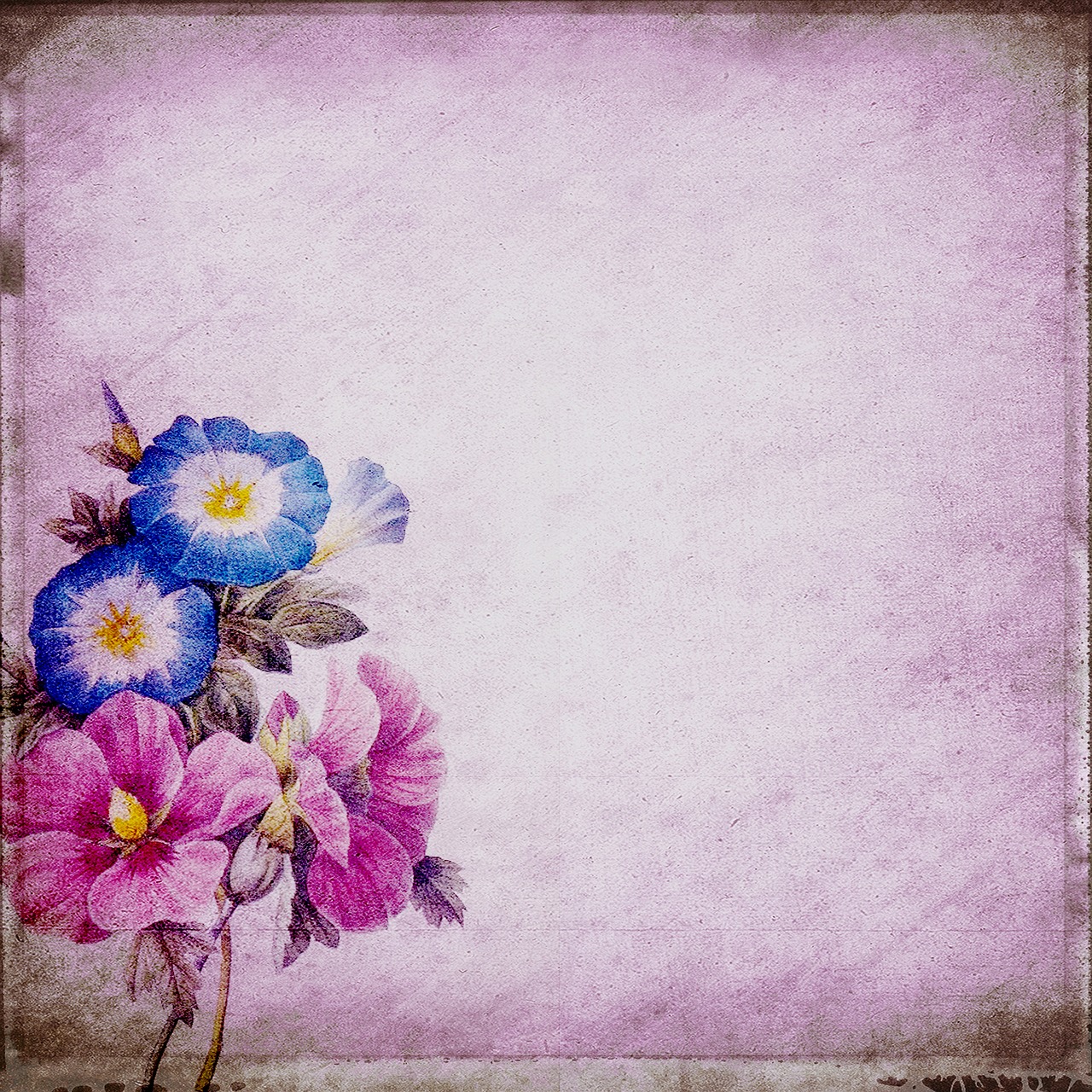 background  flowers  bouquet free photo