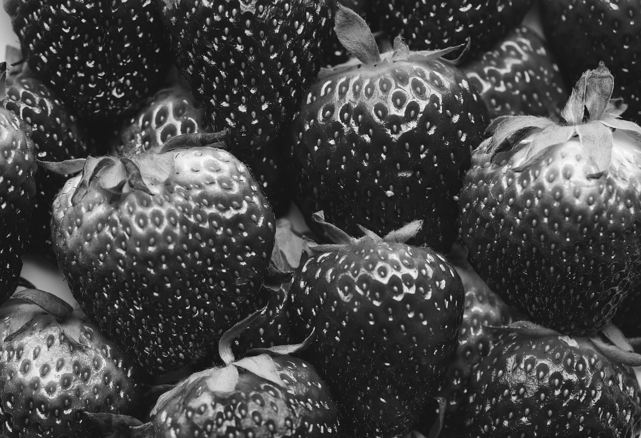 background  berry  black and white free photo