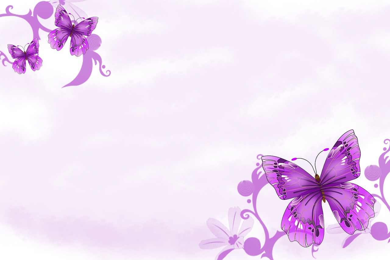 background purple butterflies free photo