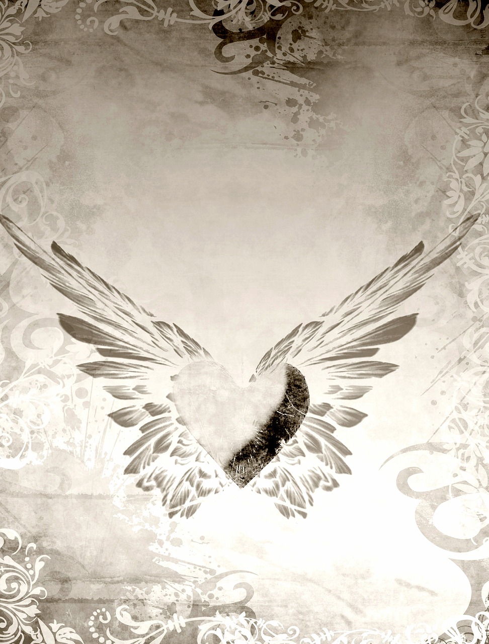 background heart wings free photo