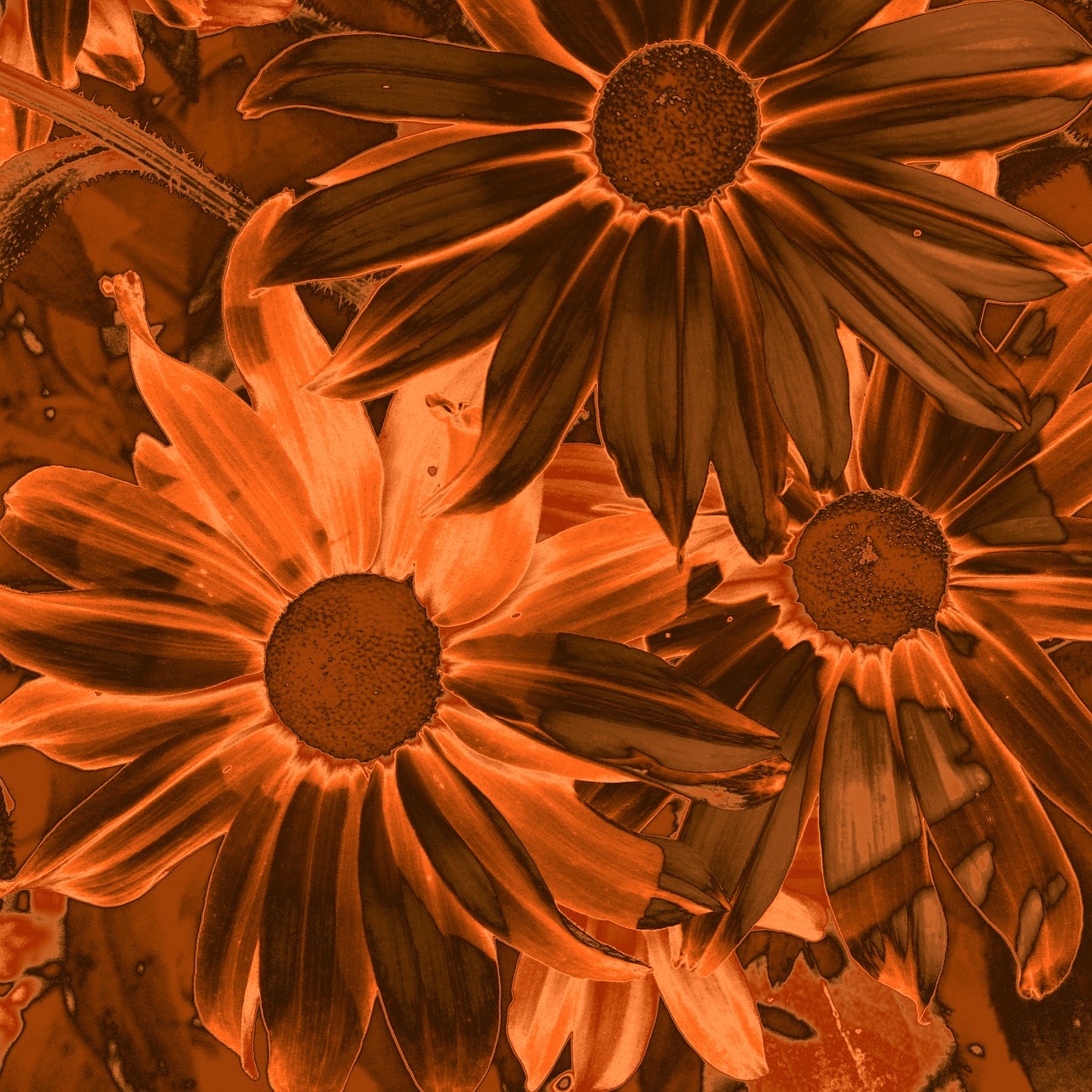 background flowers contrast free photo