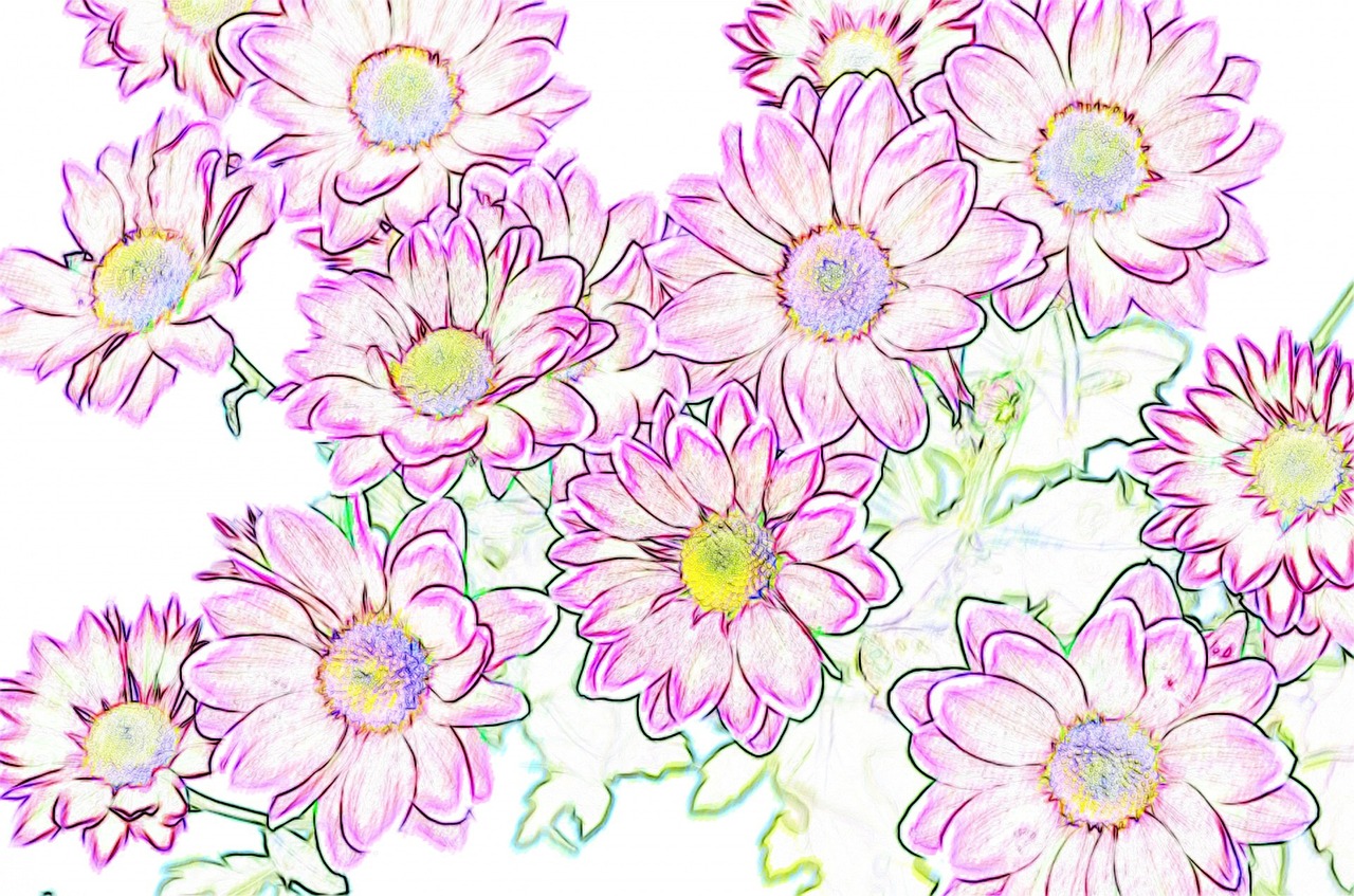 background flowers purple free photo