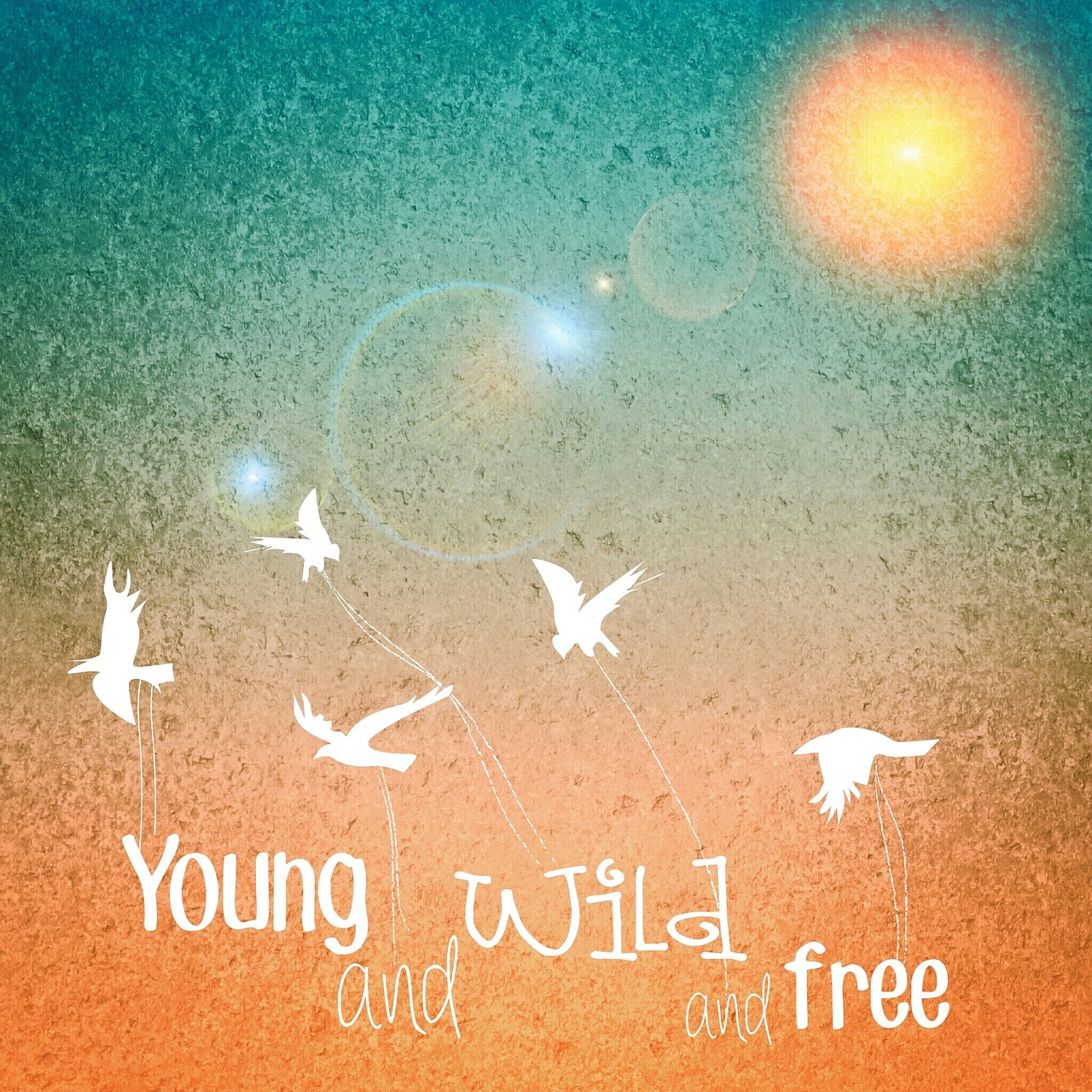 background sun young free photo